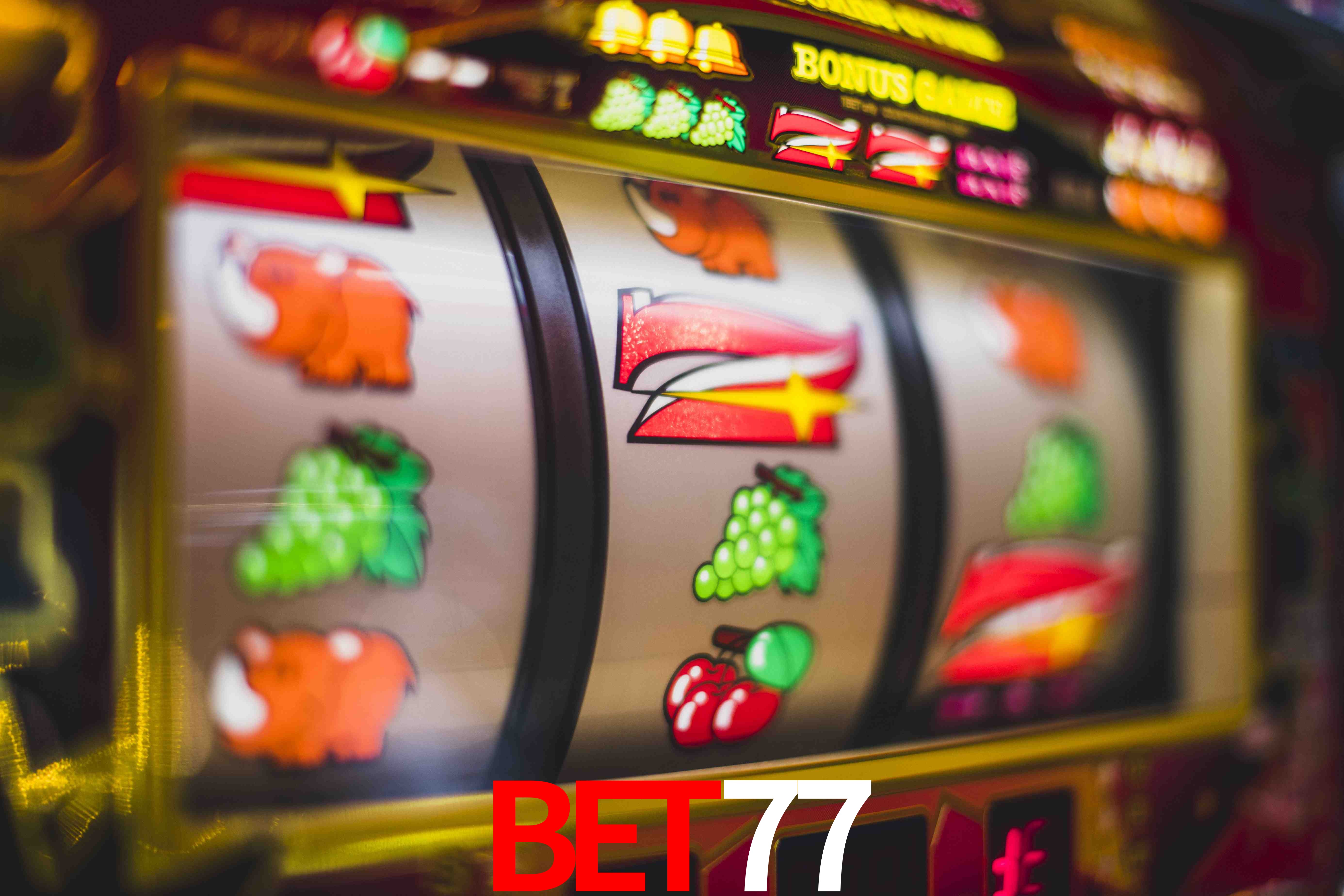 Live Casino bet77